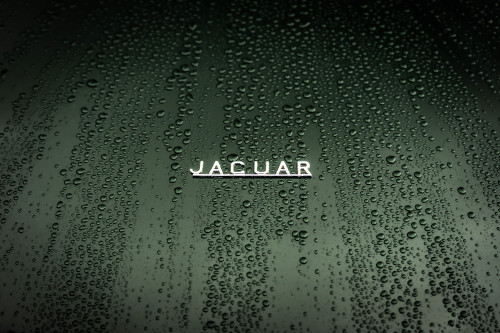 Як вибрати ідеальний колір для вашого Jaguar